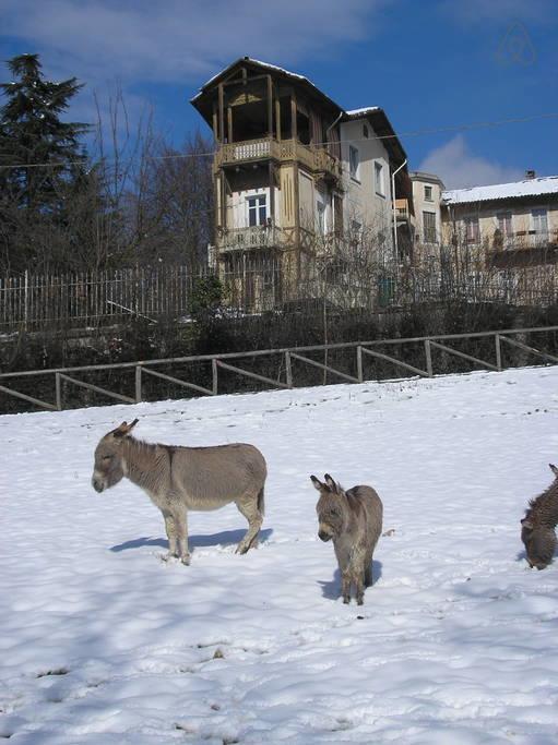 Del Nobile Apartment Torino Eksteriør bilde